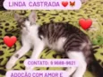 Charllote