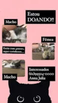 À escolher