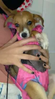 FLOR
