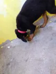 Nina