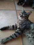 nao tem 