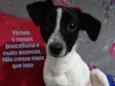 Rubí