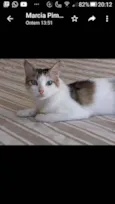 Safira