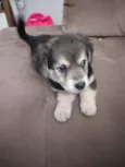 Zoe