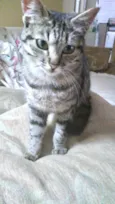 Mimi bb lindíssima