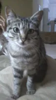 Mimi bb lindíssima
