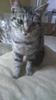 Mimi bb lindíssima
