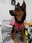 Dudinha