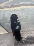 Nao tem