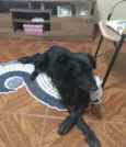 Duke