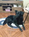 Duke