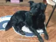 Duke