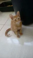 Boris