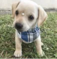 ENZO