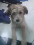 Nina