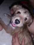Nina