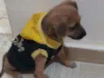 Bob