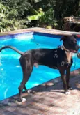 Jack
