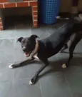 Jack