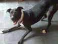 Jack