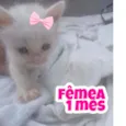Sem nome