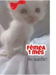 Sem nome