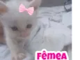 Sem nome