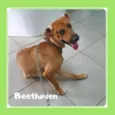 Beethoven