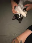 Bart