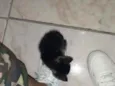 Não possue nome