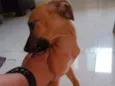Mel