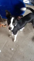 Lupita