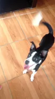 Lupita