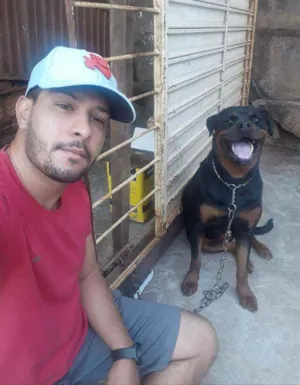 Cachorro raça Rotweiller idade 2 anos nome Maya