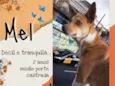 Mel