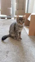 Nina