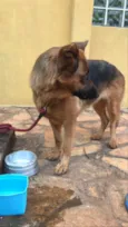 não identificado