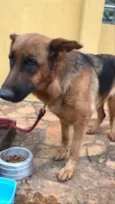 não identificado
