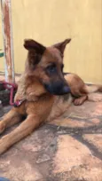 não identificado
