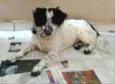 Tuffy