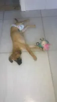 Meliza