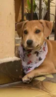 Diego