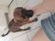 Pitolomeu