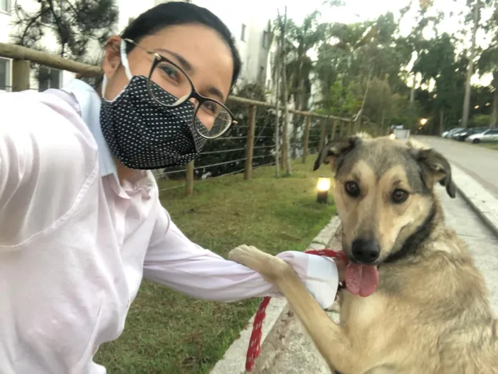 Cachorro ra a SRD-ViraLata idade 2 anos nome Berlim