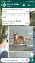 Ramel