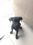 Fred