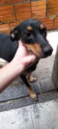 Kira