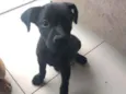 Fred
