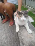 Margarida