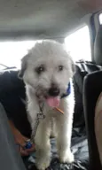 Spike